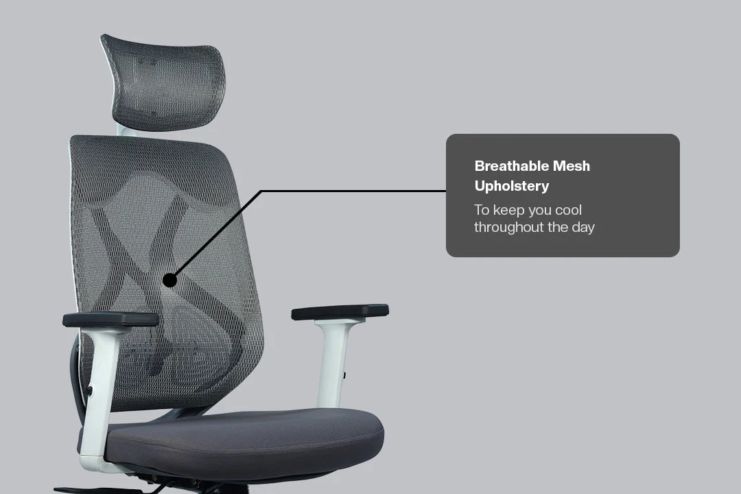Product image 100